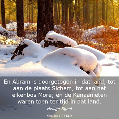 Picture 03 - Genesis 12:6 NLD - En Abram is doorgetogen in dat land, tot aan de - Bible Verse Picture