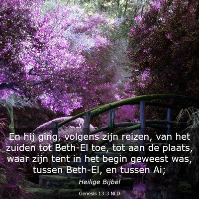 Picture 03 - Genesis 13:3 NLD - En hij ging, volgens zijn reizen, van het zuiden - Bible Verse Picture