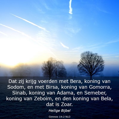 Picture 03 - Genesis 14:2 NLD - Dat zij krijg voerden met Bera, koning van Sodom, - Bible Verse Picture