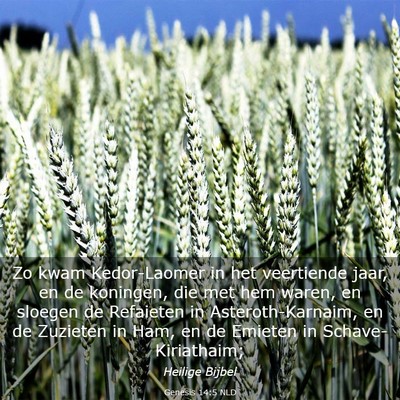 Picture 03 - Genesis 14:5 NLD - Zo kwam Kedor-Laomer in het veertiende jaar, en - Bible Verse Picture