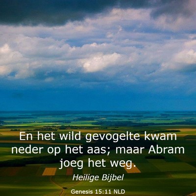 Picture 03 - Genesis 15:11 NLD - En het wild gevogelte kwam neder op het aas; maar - Bible Verse Picture