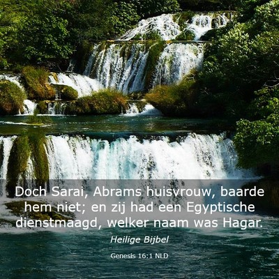 Picture 03 - Genesis 16:1 NLD - Doch Sarai, Abrams huisvrouw, baarde hem niet; en - Bible Verse Picture