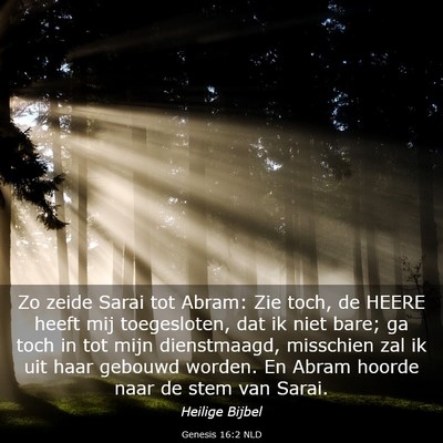 Picture 03 - Genesis 16:2 NLD - Zo zeide Sarai tot Abram: Zie toch, de HEERE - Bible Verse Picture