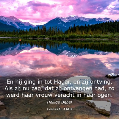 Picture 03 - Genesis 16:4 NLD - En hij ging in tot Hagar, en zij ontving. Als zij - Bible Verse Picture
