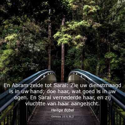Picture 03 - Genesis 16:6 NLD - En Abram zeide tot Sarai: Zie uw dienstmaagd is - Bible Verse Picture