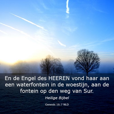 Picture 03 - Genesis 16:7 NLD - En de Engel des HEEREN vond haar aan een - Bible Verse Picture
