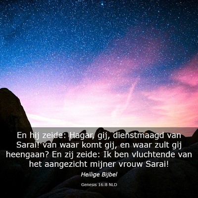 Picture 03 - Genesis 16:8 NLD - En hij zeide: Hagar, gij, dienstmaagd van Sarai! - Bible Verse Picture