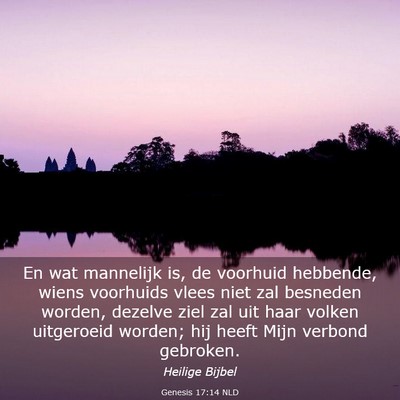 Picture 03 - Genesis 17:14 NLD - En wat mannelijk is, de voorhuid hebbende, wiens - Bible Verse Picture