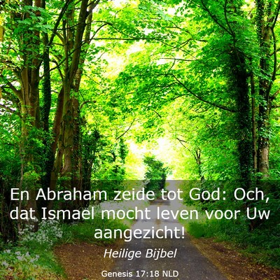Picture 03 - Genesis 17:18 NLD - En Abraham zeide tot God: Och, dat Ismael mocht - Bible Verse Picture
