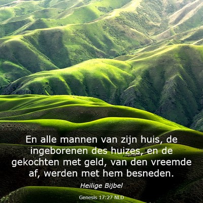 Picture 03 - Genesis 17:27 NLD - En alle mannen van zijn huis, de ingeborenen des - Bible Verse Picture