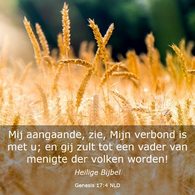 Picture 03 - Genesis 17:4 NLD - Mij aangaande, zie, Mijn verbond is met u; en gij - Bible Verse Picture