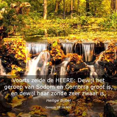 Picture 03 - Genesis 18:20 NLD - Voorts zeide de HEERE: Dewijl het geroep van - Bible Verse Picture
