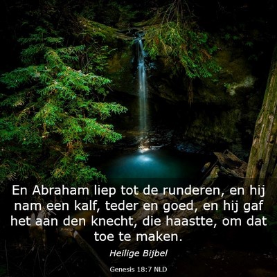 Picture 03 - Genesis 18:7 NLD - En Abraham liep tot de runderen, en hij nam een - Bible Verse Picture
