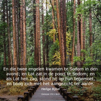 Picture 03 - Genesis 19:1 NLD - En die twee engelen kwamen te Sodom in den avond; - Bible Verse Picture