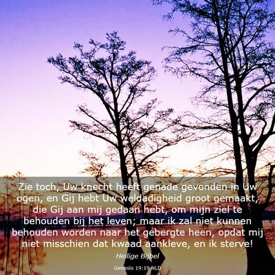 Picture 03 - Genesis 19:19 NLD - Zie toch, Uw knecht heeft genade gevonden in Uw - Bible Verse Picture