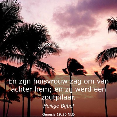 Picture 03 - Genesis 19:26 NLD - En zijn huisvrouw zag om van achter hem; en zij - Bible Verse Picture