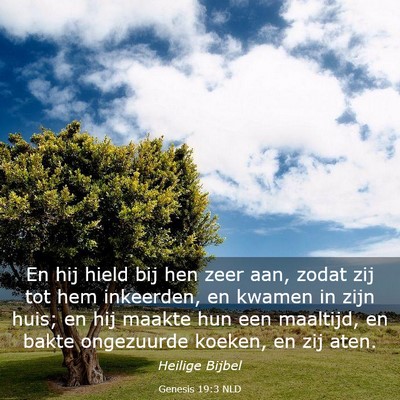 Picture 03 - Genesis 19:3 NLD - En hij hield bij hen zeer aan, zodat zij tot hem - Bible Verse Picture