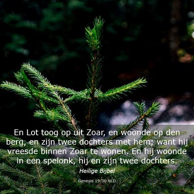 Picture 03 - Genesis 19:30 NLD - En Lot toog op uit Zoar, en woonde op den berg, - Bible Verse Picture