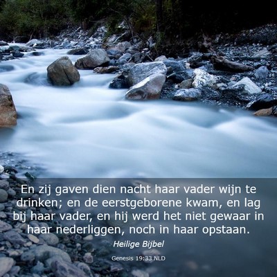 Picture 03 - Genesis 19:33 NLD - En zij gaven dien nacht haar vader wijn te - Bible Verse Picture