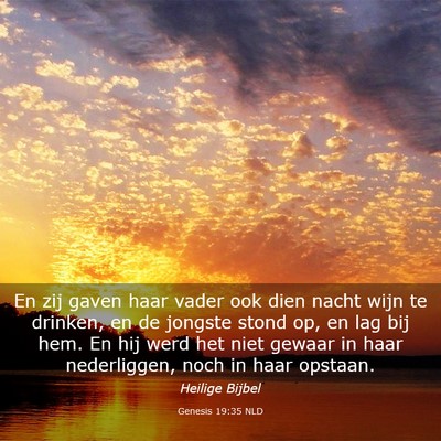Picture 03 - Genesis 19:35 NLD - En zij gaven haar vader ook dien nacht wijn te - Bible Verse Picture