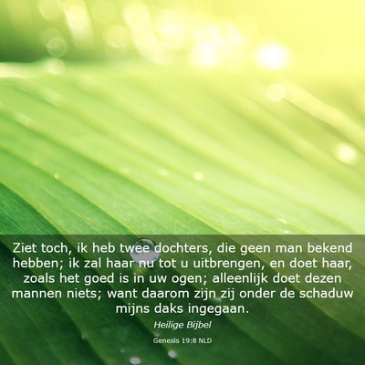 Picture 03 - Genesis 19:8 NLD - Ziet toch, ik heb twee dochters, die geen man - Bible Verse Picture