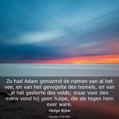 Picture 03 - Genesis 2:20 NLD - Zo had Adam genoemd de namen van al het vee, en - Bible Verse Picture