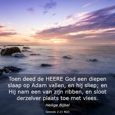 Picture 03 - Genesis 2:21 NLD - Toen deed de HEERE God een diepen slaap op Adam - Bible Verse Picture
