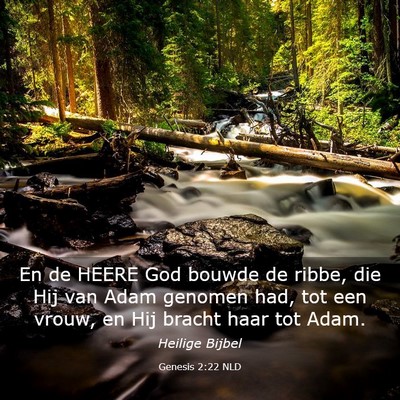 Picture 03 - Genesis 2:22 NLD - En de HEERE God bouwde de ribbe, die Hij van Adam - Bible Verse Picture