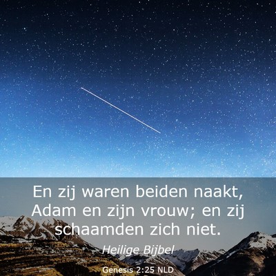 Picture 03 - Genesis 2:25 NLD - En zij waren beiden naakt, Adam en zijn vrouw; en - Bible Verse Picture