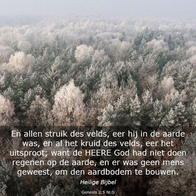 Picture 03 - Genesis 2:5 NLD - En allen struik des velds, eer hij in de aarde - Bible Verse Picture
