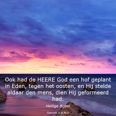 Picture 03 - Genesis 2:8 NLD - Ook had de HEERE God een hof geplant in Eden, - Bible Verse Picture