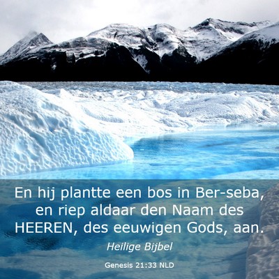 Picture 03 - Genesis 21:33 NLD - En hij plantte een bos in Ber-seba, en riep - Bible Verse Picture