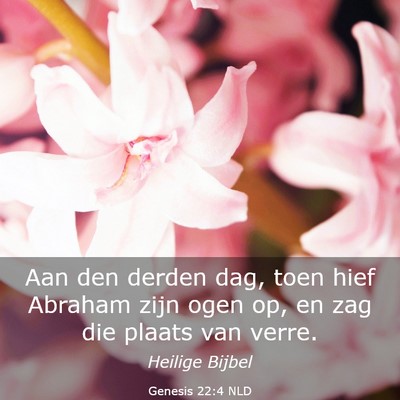 Picture 03 - Genesis 22:4 NLD - Aan den derden dag, toen hief Abraham zijn ogen - Bible Verse Picture