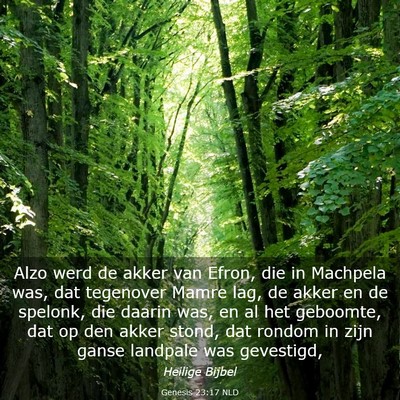 Picture 03 - Genesis 23:17 NLD - Alzo werd de akker van Efron, die in Machpela - Bible Verse Picture