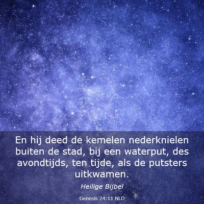 Picture 03 - Genesis 24:11 NLD - En hij deed de kemelen nederknielen buiten de - Bible Verse Picture