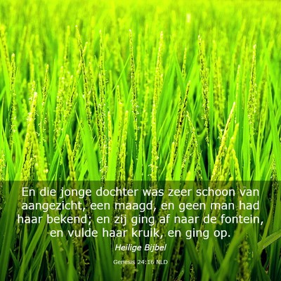 Picture 03 - Genesis 24:16 NLD - En die jonge dochter was zeer schoon van - Bible Verse Picture
