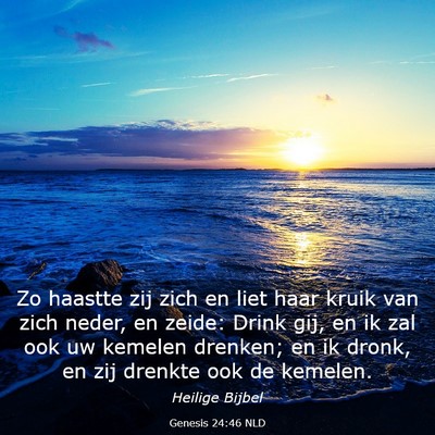 Picture 03 - Genesis 24:46 NLD - Zo haastte zij zich en liet haar kruik van zich - Bible Verse Picture