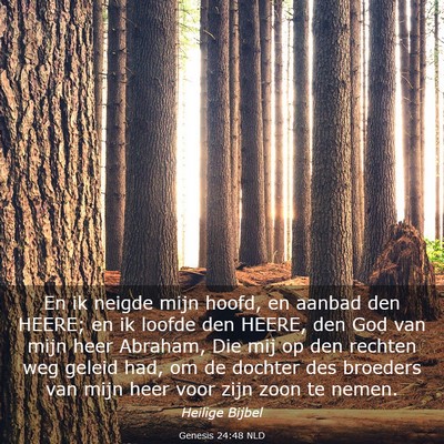 Picture 03 - Genesis 24:48 NLD - En ik neigde mijn hoofd, en aanbad den HEERE; en - Bible Verse Picture