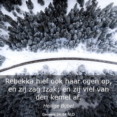 Picture 03 - Genesis 24:64 NLD - Rebekka hief ook haar ogen op, en zij zag Izak; - Bible Verse Picture