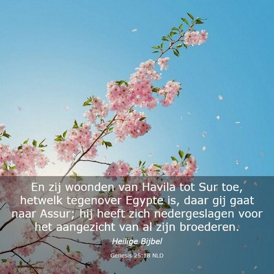 Picture 03 - Genesis 25:18 NLD - En zij woonden van Havila tot Sur toe, hetwelk - Bible Verse Picture