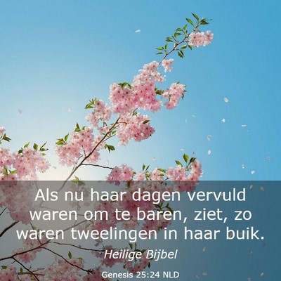 Picture 03 - Genesis 25:24 NLD - Als nu haar dagen vervuld waren om te baren, - Bible Verse Picture