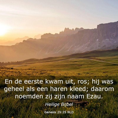 Picture 03 - Genesis 25:25 NLD - En de eerste kwam uit, ros; hij was geheel als - Bible Verse Picture