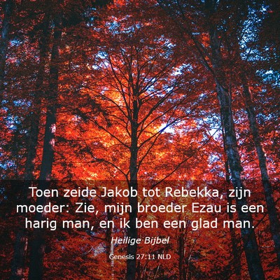 Picture 03 - Genesis 27:11 NLD - Toen zeide Jakob tot Rebekka, zijn moeder: Zie, - Bible Verse Picture