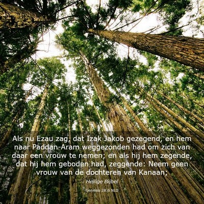 Picture 03 - Genesis 28:6 NLD - Als nu Ezau zag, dat Izak Jakob gezegend, en hem - Bible Verse Picture