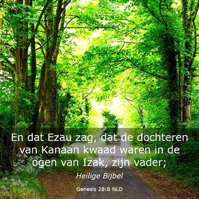 Picture 03 - Genesis 28:8 NLD - En dat Ezau zag, dat de dochteren van Kanaan - Bible Verse Picture