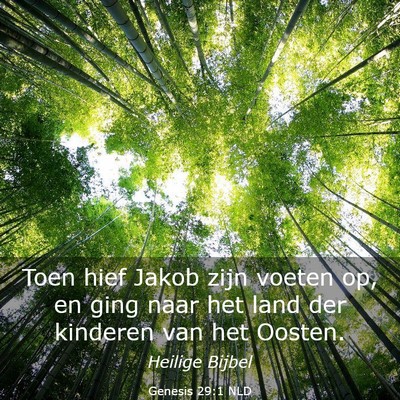 Picture 03 - Genesis 29:1 NLD - Toen hief Jakob zijn voeten op, en ging naar het - Bible Verse Picture