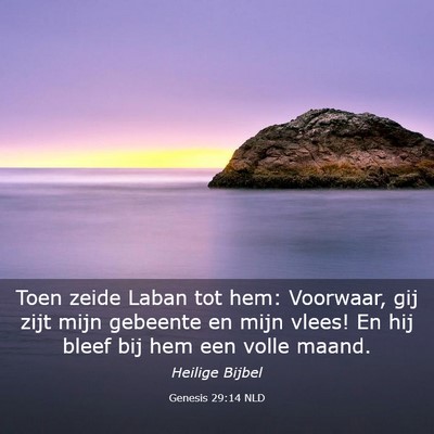 Picture 03 - Genesis 29:14 NLD - Toen zeide Laban tot hem: Voorwaar, gij zijt mijn - Bible Verse Picture