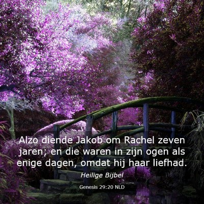 Picture 03 - Genesis 29:20 NLD - Alzo diende Jakob om Rachel zeven jaren; en die - Bible Verse Picture