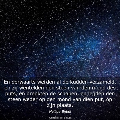 Picture 03 - Genesis 29:3 NLD - En derwaarts werden al de kudden verzameld, en - Bible Verse Picture
