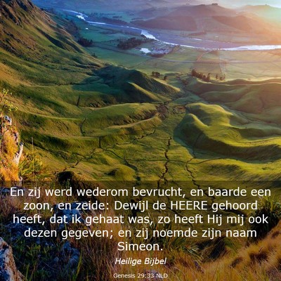 Picture 03 - Genesis 29:33 NLD - En zij werd wederom bevrucht, en baarde een zoon, - Bible Verse Picture